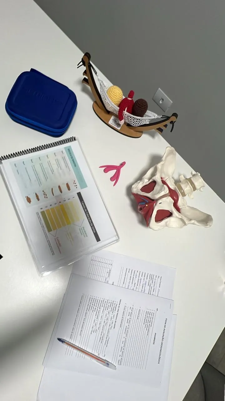 Modelos anatômicos da pelve e material de avaliação usados em fisioterapia pélvica